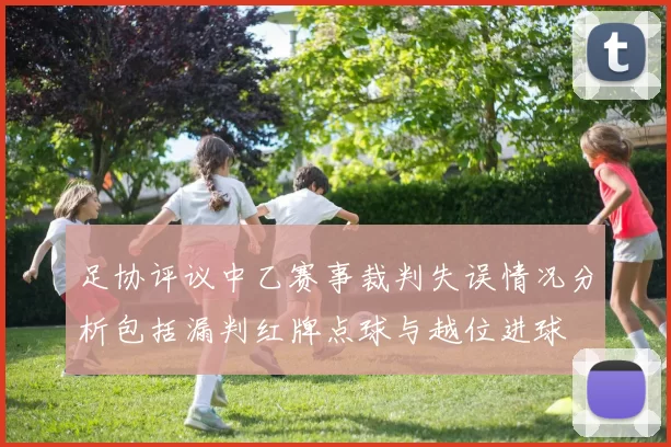 足协评议中乙赛事裁判失误情况分析包括漏判红牌点球与越位进球