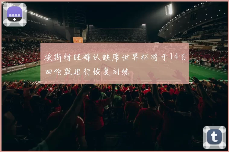 埃斯特旺确认缺席世界杯将于14日回伦敦进行恢复训练