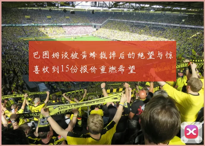 巴图姆谈被黄蜂裁掉后的绝望与惊喜收到15份报价重燃希望